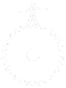 bugVoice logo