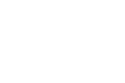 p logo